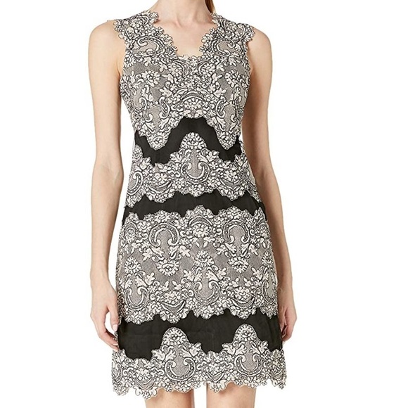 Tahari Dresses & Skirts - TAHARI Black & Blush Scalloped Edge Lace Sheath Dress Size 6 NEW
